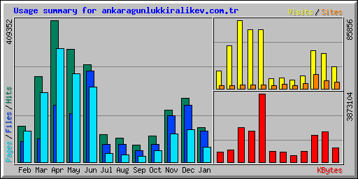 Usage summary for ankaragunlukkiralikev.com.tr